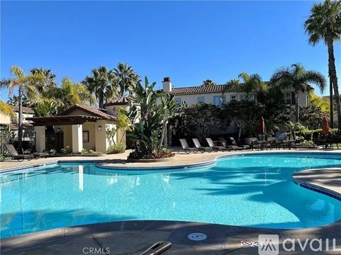 A pool surrounded by palm trees and lounge chairs.