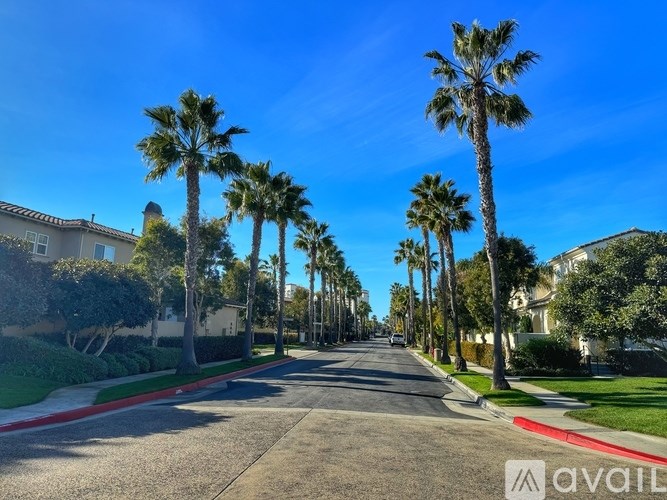 A street lined with palm trees and houses on either side.
