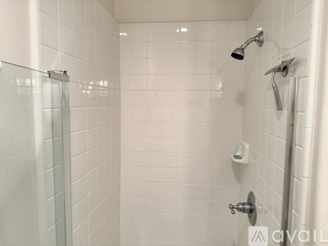 A white tiled shower with a glass door and a shower head.