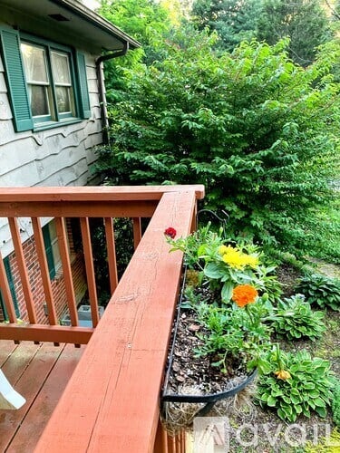 A wooden deck with a flower pot on it.