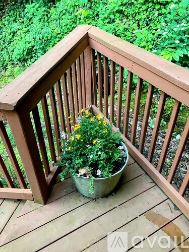 A potted plant sits on a wooden deck.