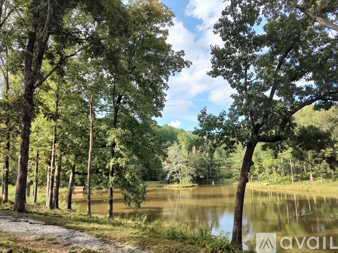A serene landscape with a lake, trees, and a clear sky.