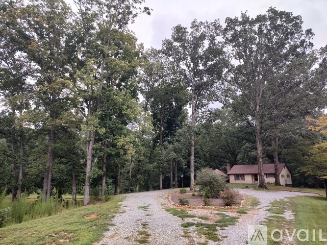 A gravel path leads to a house surrounded by trees.