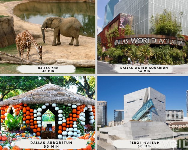 A collage of four images showing different attractions in Dallas with their respective visiting times.