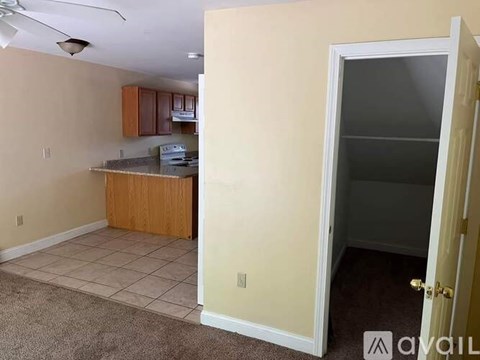 A kitchen area with a counter and cabinets is visible through an open door.