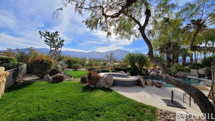 A backyard with a pool and a tree.