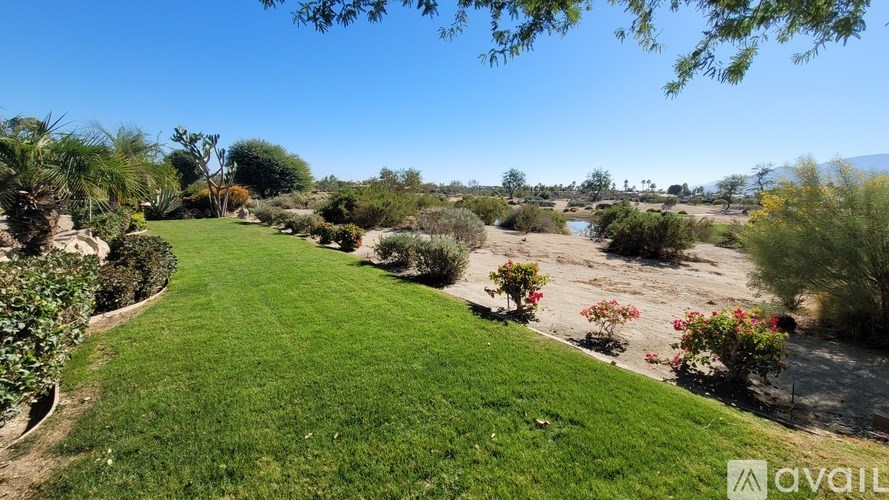 A lush green lawn with a clear blue sky above and a few trees in the background.