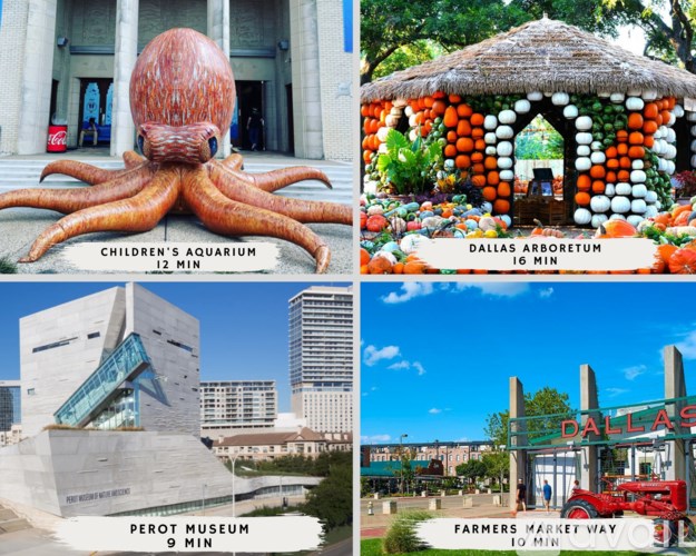 A collage of four images showing different attractions with their respective visiting times.