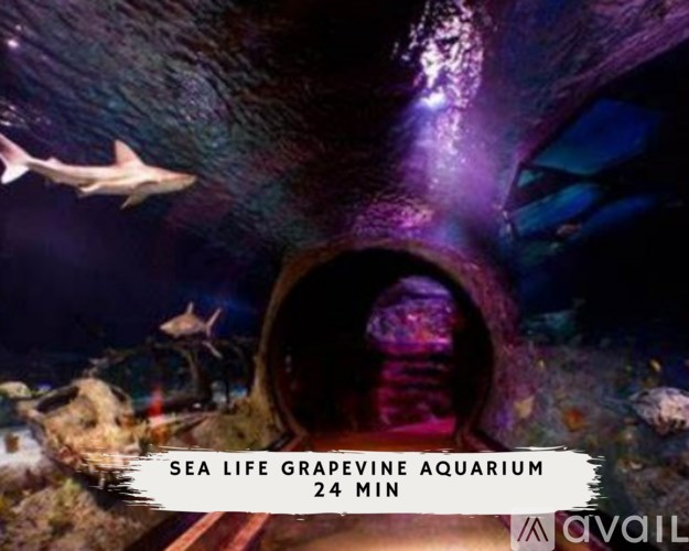 A sign advertises a Sea Life Grapevine Aquarium attraction that lasts 24 minutes.