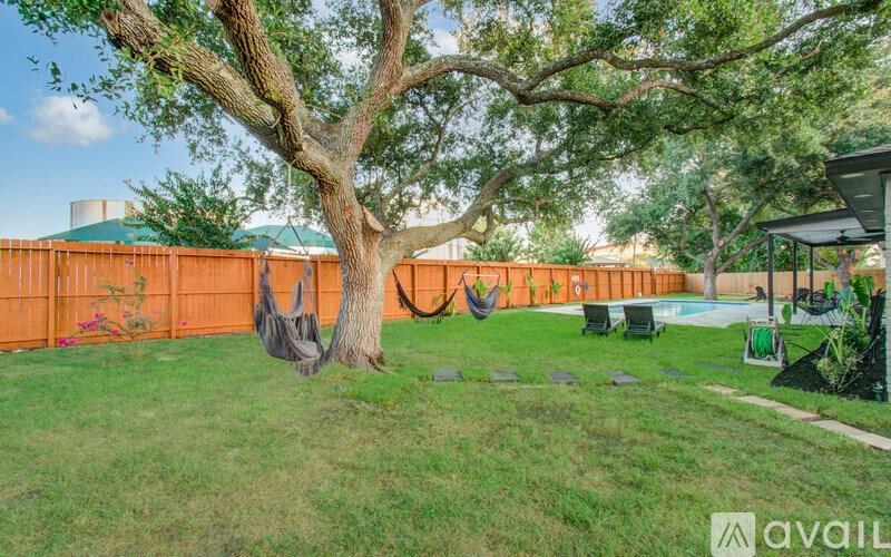 A tree in a yard with a swing hanging from it.