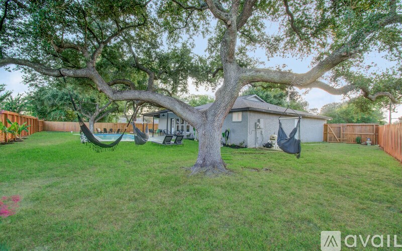 A tree in a backyard with a hammock hanging between its branches.