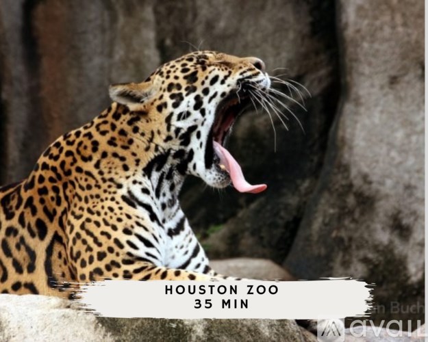 A leopard with its mouth open and tongue out.