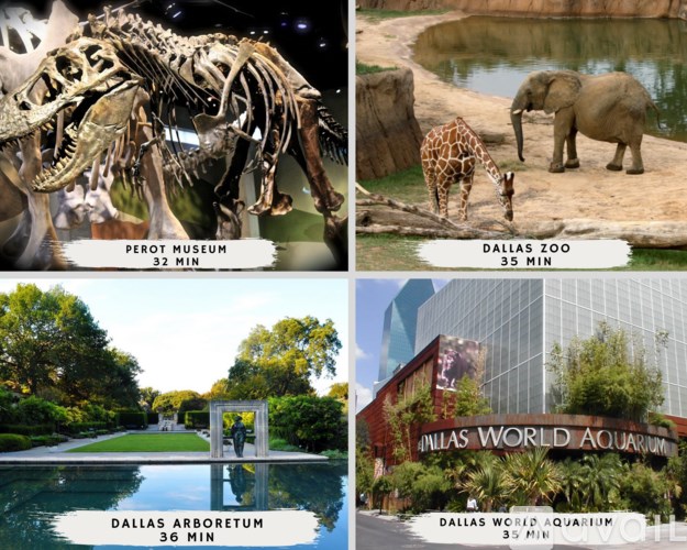 A collage of four images showing a dinosaur skeleton, a giraffe and an elephant at the Dallas Zoo, and the Dallas Arboretum and Dallas World Aquarium.