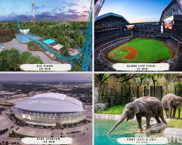 A collage of four images showing a roller coaster, a baseball field, an elephant exhibit, and a stadium.