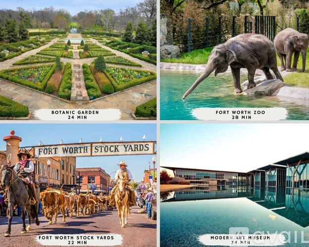 A collage of four images showcasing the Fort Worth Stock Yards, Botanic Garden, Fort Worth Zoo, and Modern Art Museum.