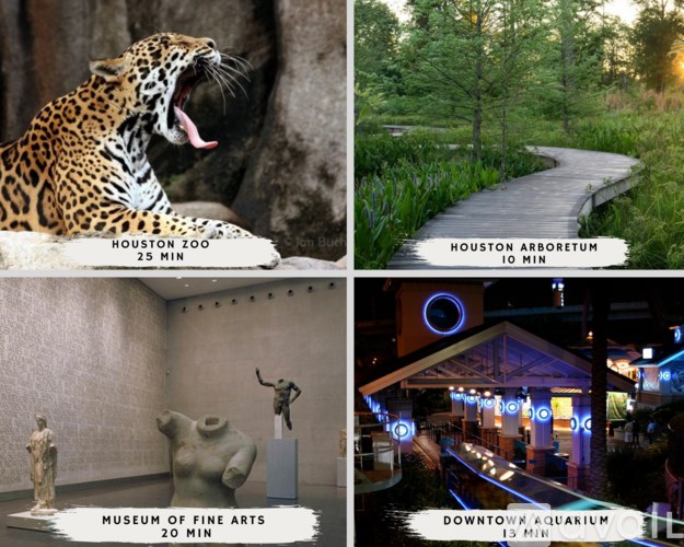 A collage of four images showing a jaguar, a wooden pathway, a museum of fine arts, and a downtown aquarium.