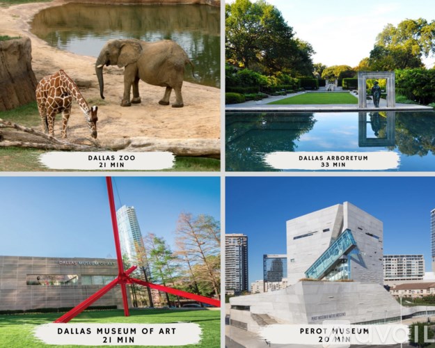 A collage of four images showing the Dallas Zoo, Dallas Arboretum, Dallas Museum of Art, and Perot Museum.