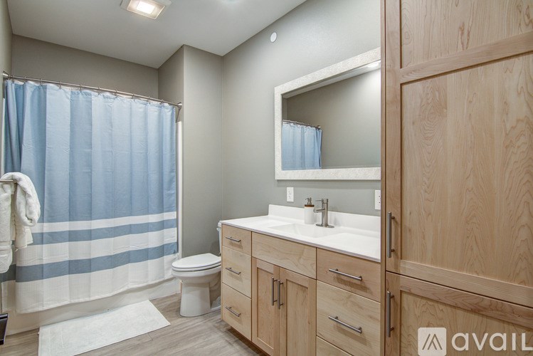 A bathroom with a toilet, sink, and shower curtain.