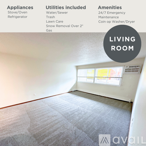A living room with a carpet floor and a window letting in sunlight.