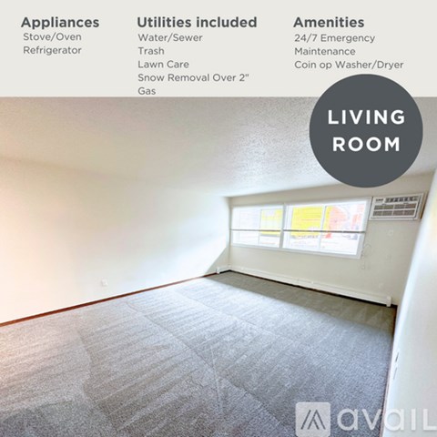 A living room with a carpet floor and a window letting in sunlight.