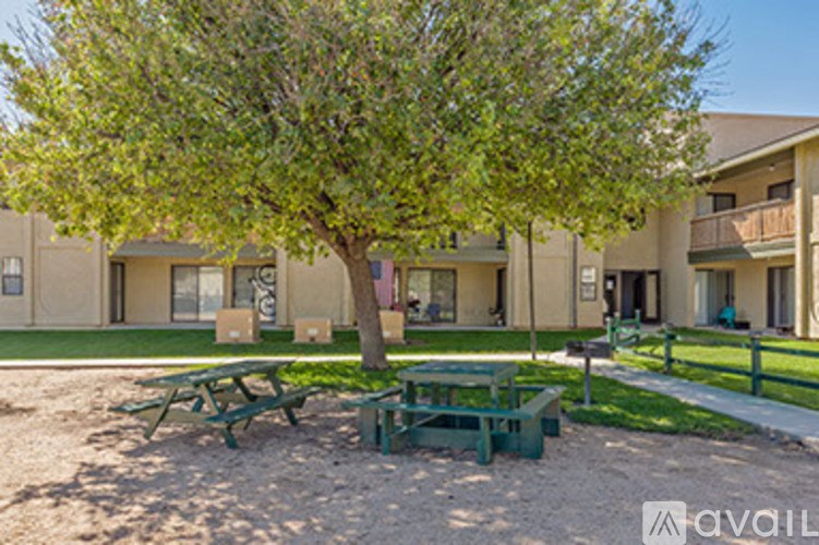 A tree in front of a building with picnic tables in front of it.