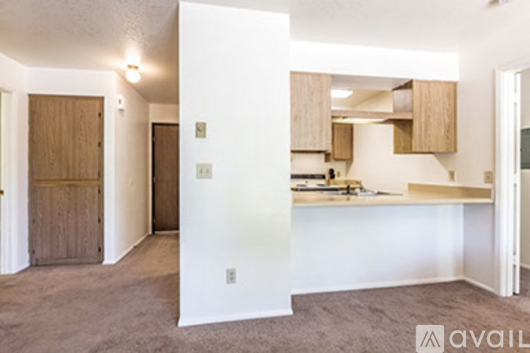 A kitchen area with a white counter and wooden cabinets.