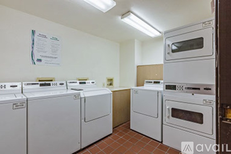 A row of white washing machines in a laundry room.
