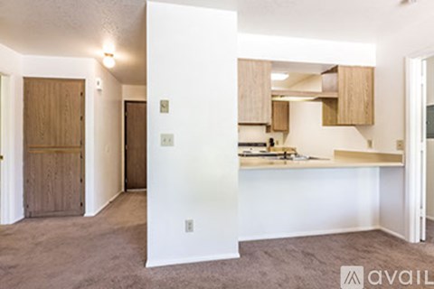 A kitchen area with a white counter and wooden cabinets.