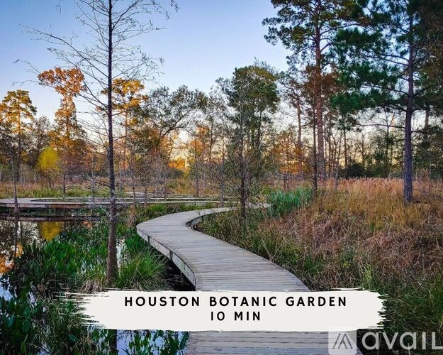 A wooden boardwalk in the Houston Botanic Garden.