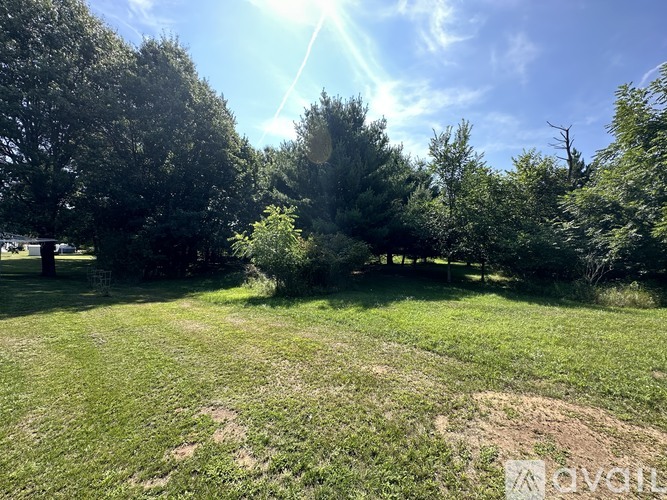 A sunny day in a grassy field with trees.