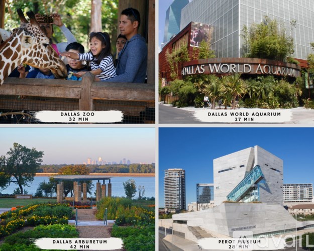 A collage of four images showcasing Dallas attractions including a zoo, aquarium, arboretum, and museum.