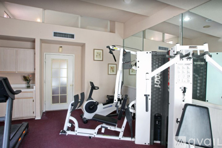A gym with a treadmill, a stationary bike, and a weight machine.