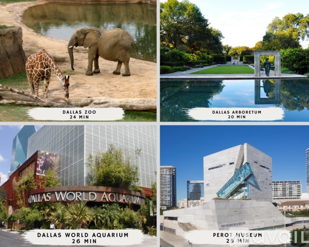 A collage of four images showing the Dallas Zoo, Dallas Arboretum, Dallas World Aquarium, and Perot Museum.