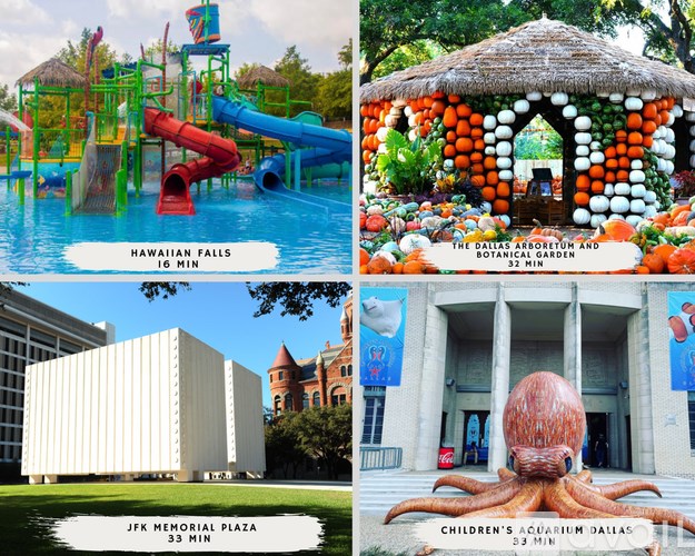 A collage of four images showing a water park, a botanical garden, a museum, and an aquarium.