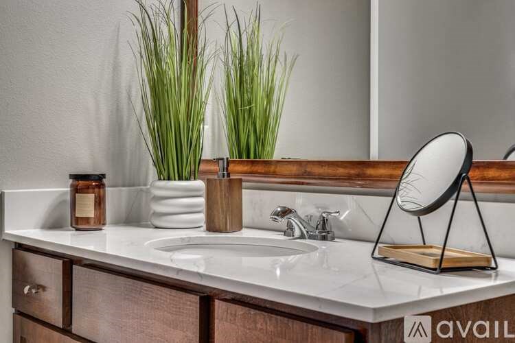 A bathroom sink with a mirror and a plant on the counter.