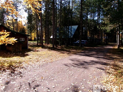 A small cabin sits in a forest with a gravel road leading to it.