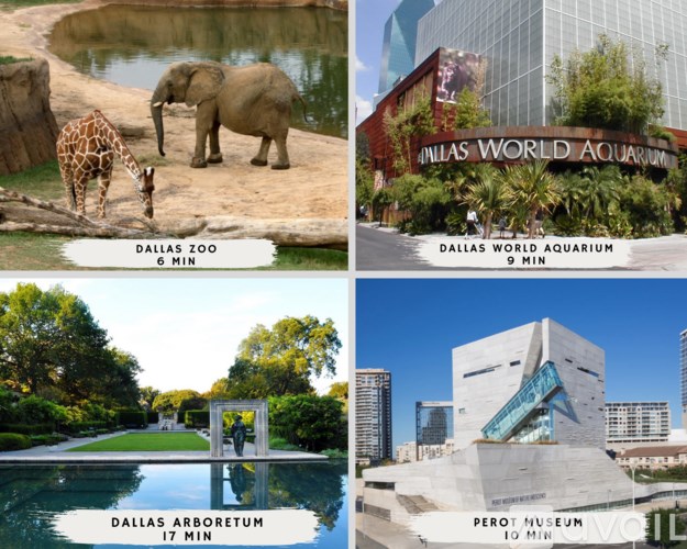 A collage of four images showing different attractions in Dallas with their respective visiting times.