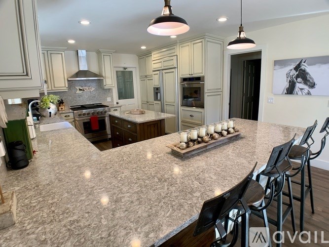 A kitchen with a marble countertop and a horse picture on the wall.