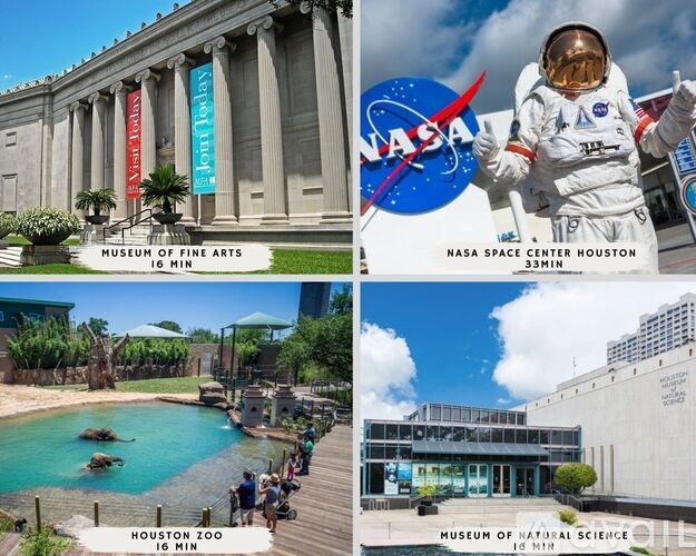 A collage of four images showcasing the NASA Space Center Houston, the Houston Zoo, and the Museum of Natural Science.