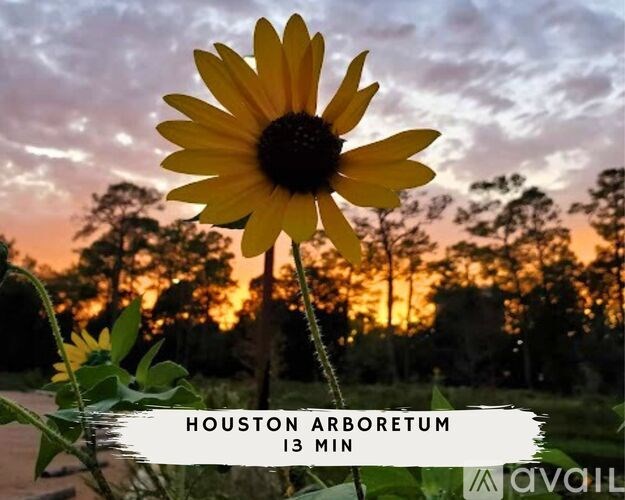A sunflower stands in front of a sunset with the text "HOUSTON ARBORETUM 13 MIN".