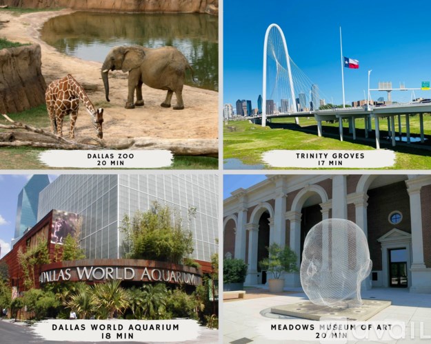 A collage of four images showing the Dallas Zoo, Trinity Groves, Dallas World Aquarium, and Meadows Museum of Art.
