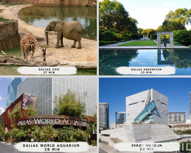A collage of four images showing the Dallas Zoo, Dallas Arboretum, Dallas World Aquarium, and Perot Museum.