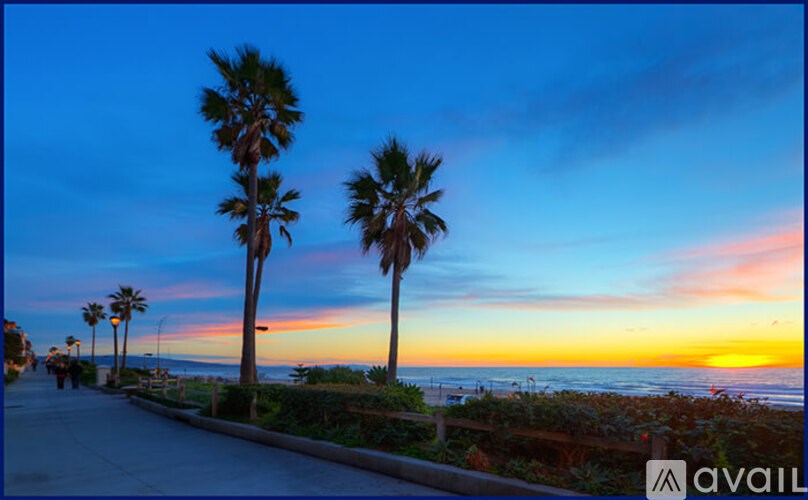 Palm trees line a street at sunset.