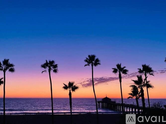 Palm trees line a beach at sunset with a pier in the distance.