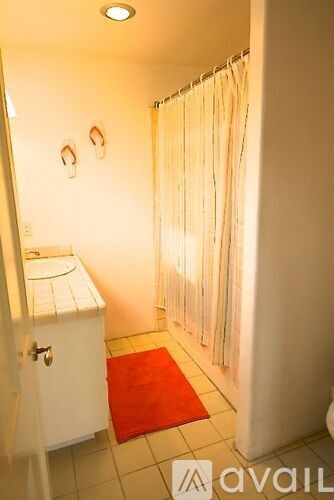 A bathroom with a white toilet, a white cabinet, a red rug and a shower curtain.
