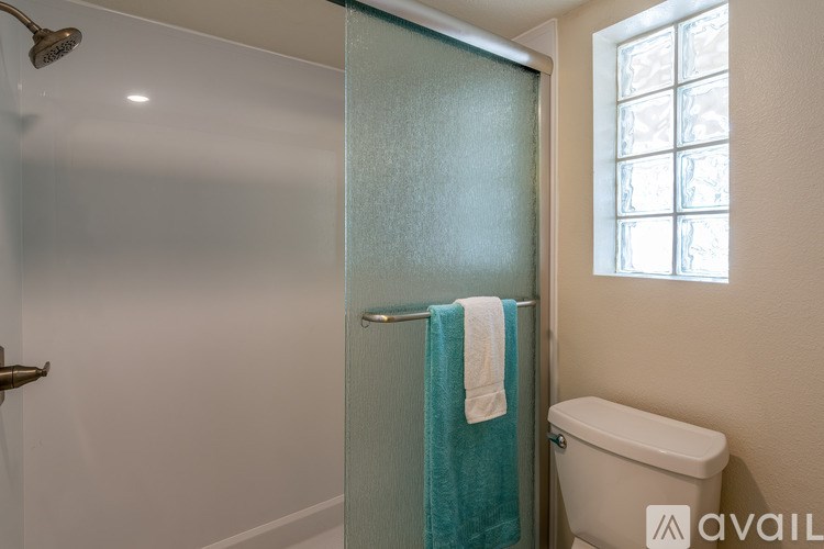 A bathroom with a toilet, a shower, and a glass door.