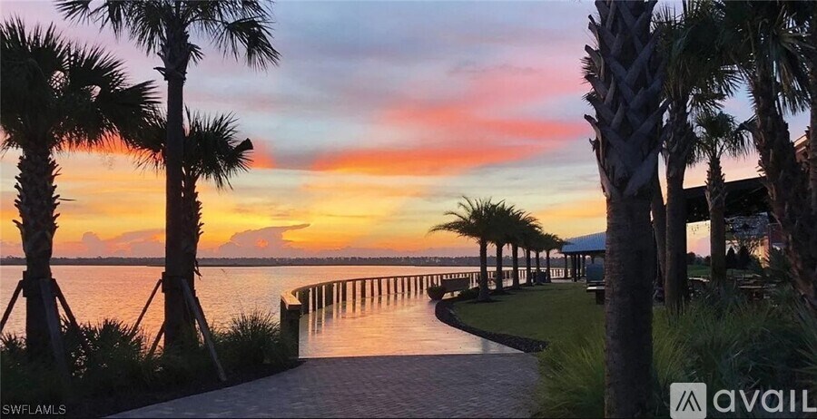 A beautiful sunset view with palm trees and a wooden walkway.