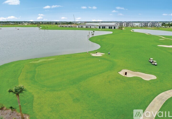 A golf course with a palm tree and a body of water.