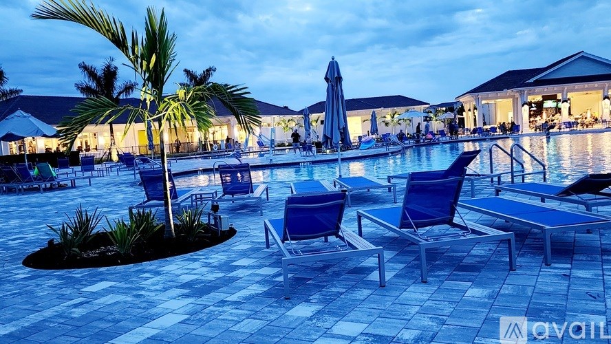 A poolside area with blue chairs and a palm tree.