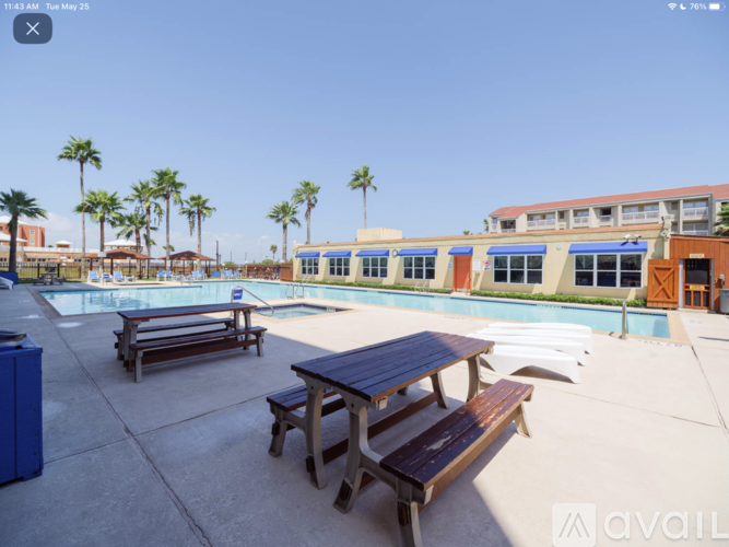 A pool area with benches and palm trees.